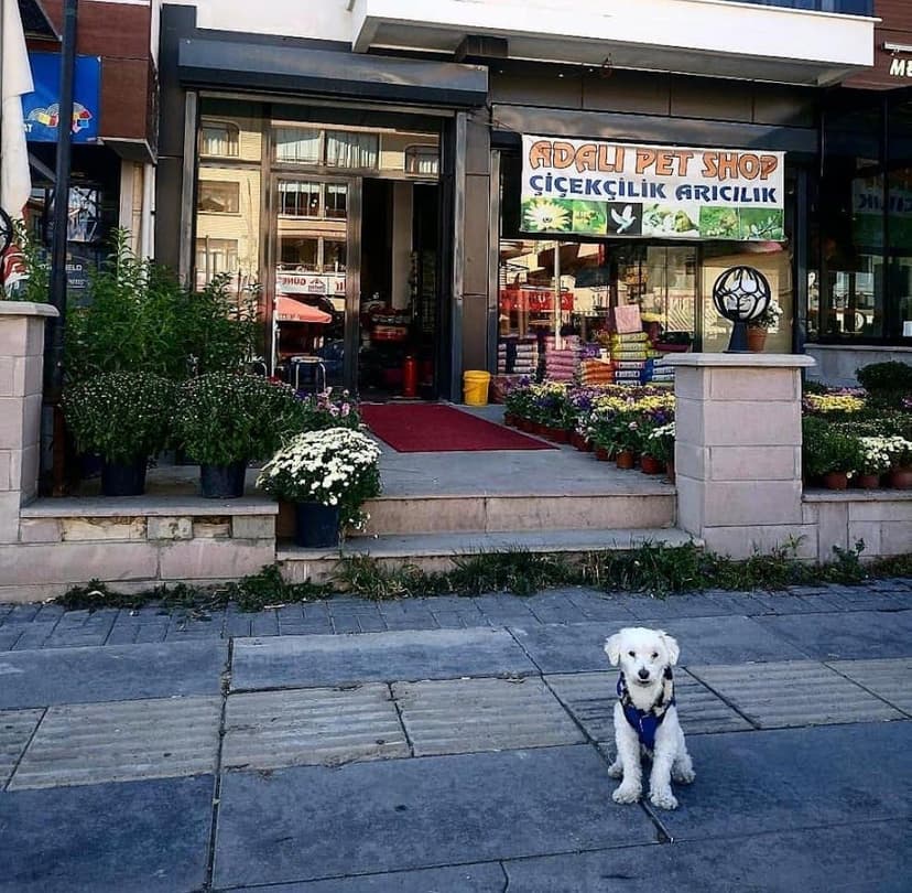 Adalı Pet Shop dış cephe