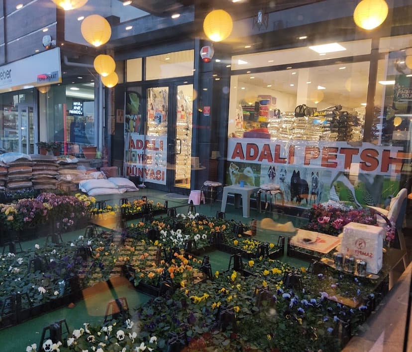 Mağaza vitrini ve ürünler