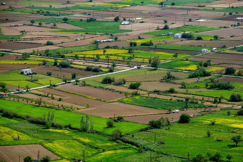Arsa ve hobi bahçesi alanları (temsili görsel)