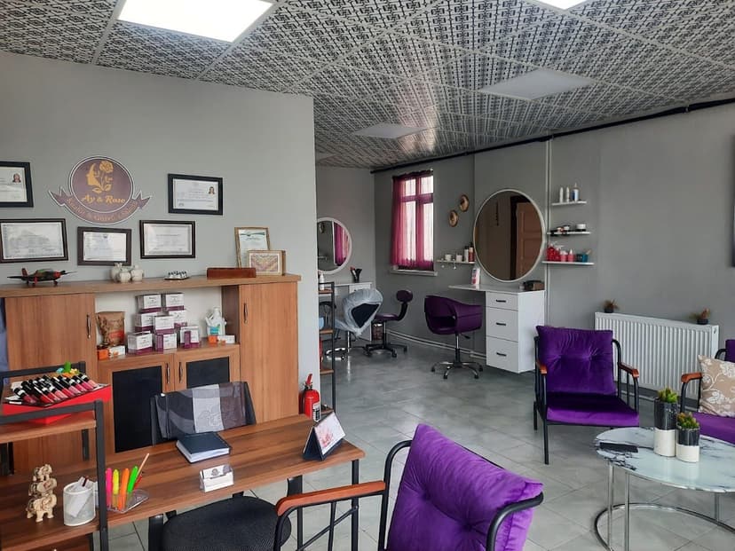 Salon koltukları ve çalışma alanı
