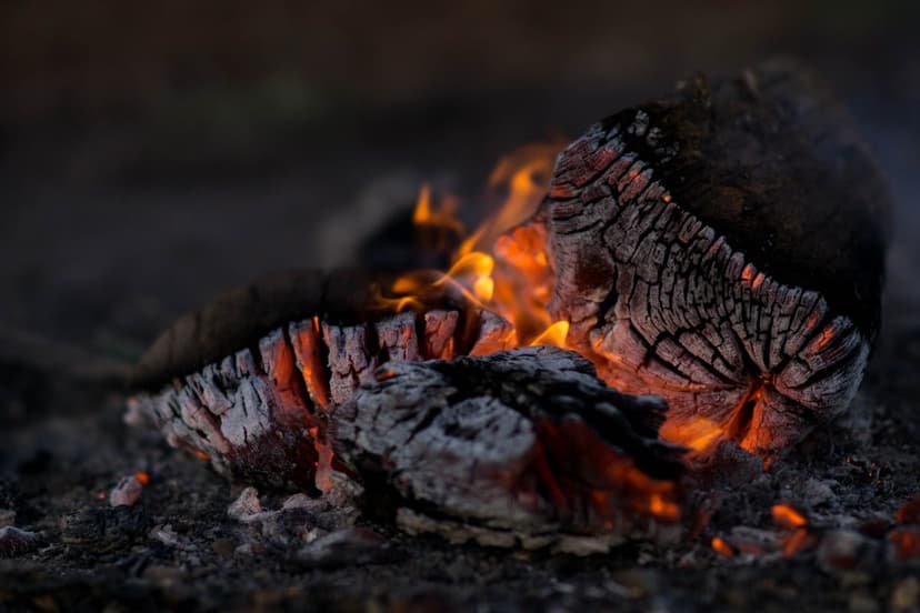 Meşe odunu / yakacak odun (temsili görsel)