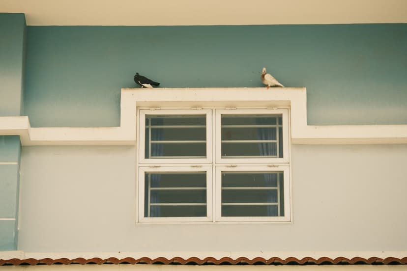Modern PVC pencere (temsili görsel)