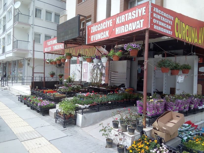 Dükkân önü ve ürün sergisi