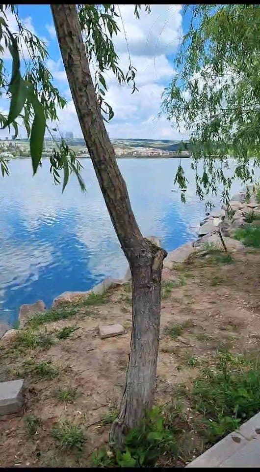 Willow ağaçları arasından Mogan Gölü manzarası