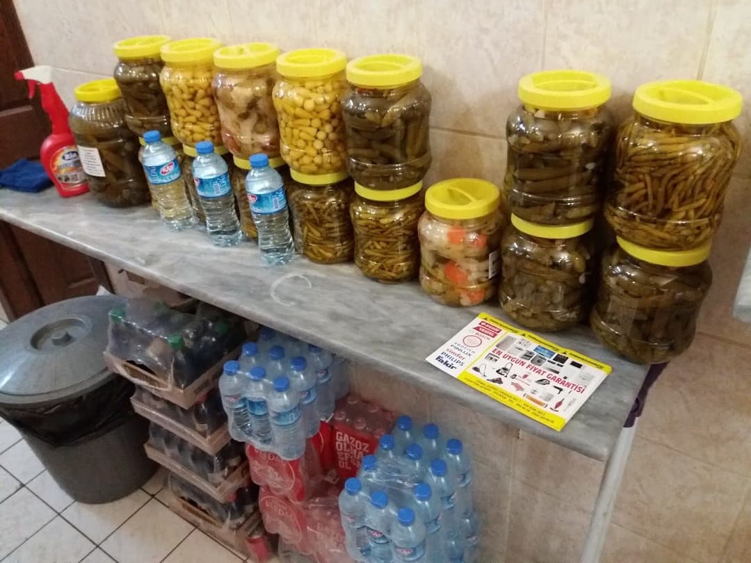 Ev yapımı turşular ve soğuk içecekler