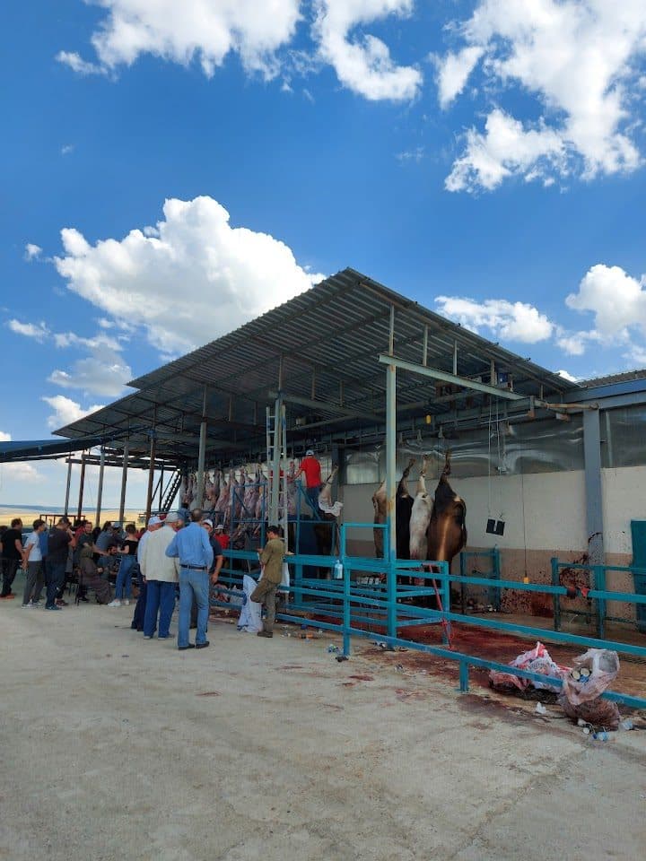 Çiftlik açık barınak ve tesis alanı