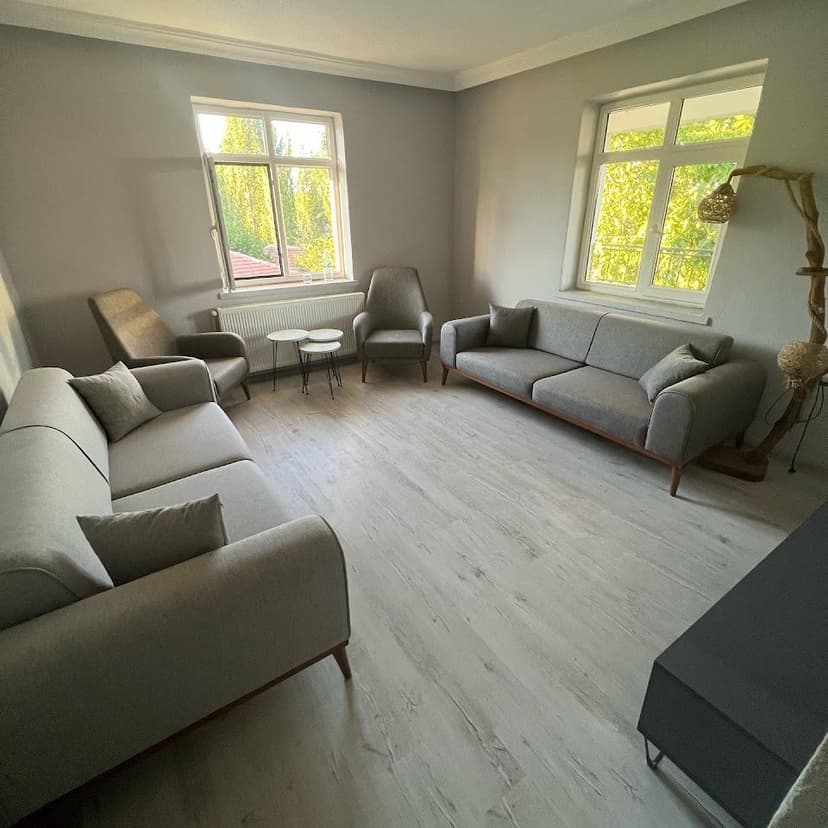Showroom'da modern koltuk takımı ve oturma grubu