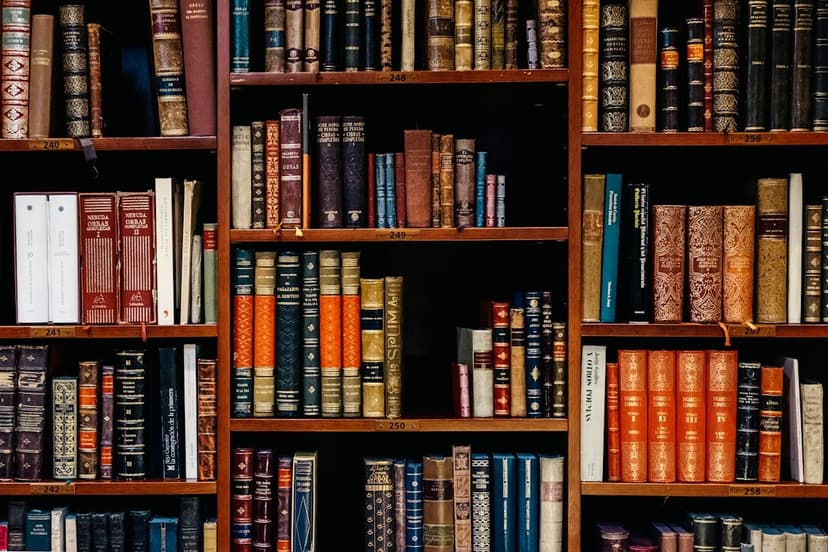 Kitap dolu raflar (temsili görsel)