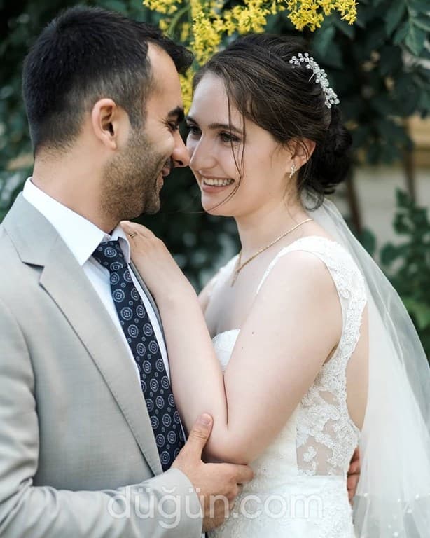 Web (geçici)