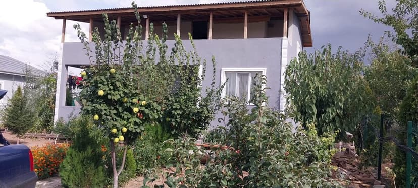 Bahçeli köy evi ve meyve bahçesi