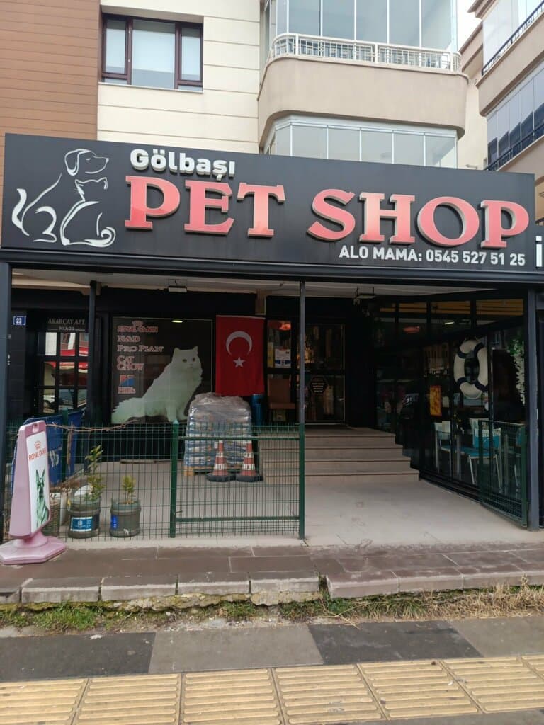 Web (geçici)