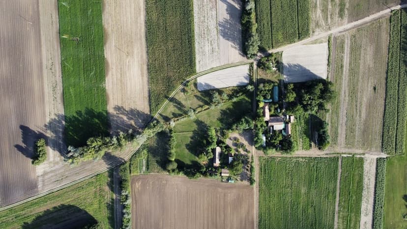 Tarla ve arsa parselleri (temsili görsel)