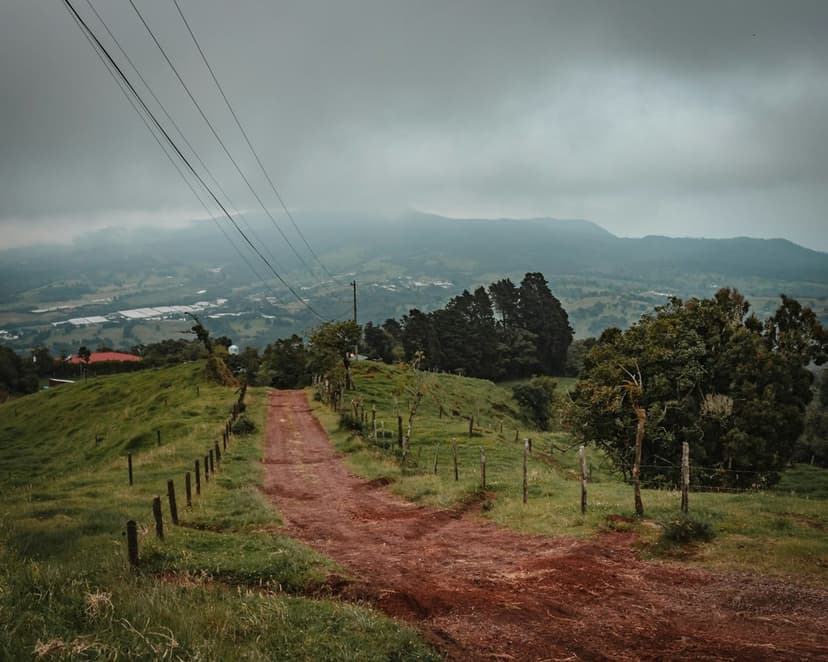 Kırsalda satılık arazi ve yol (temsili görsel)