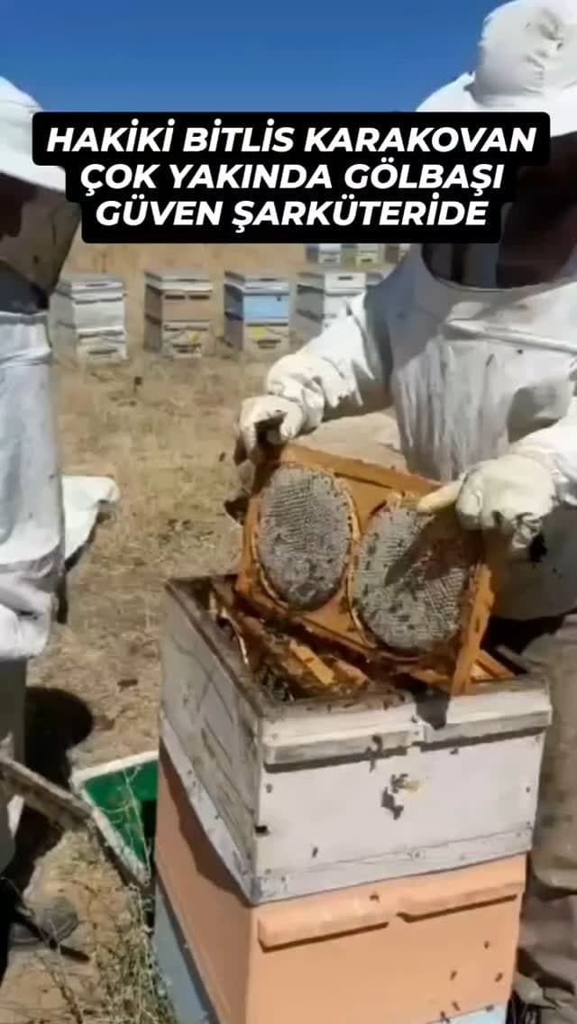 Bitlis karakovan doğal petek balı