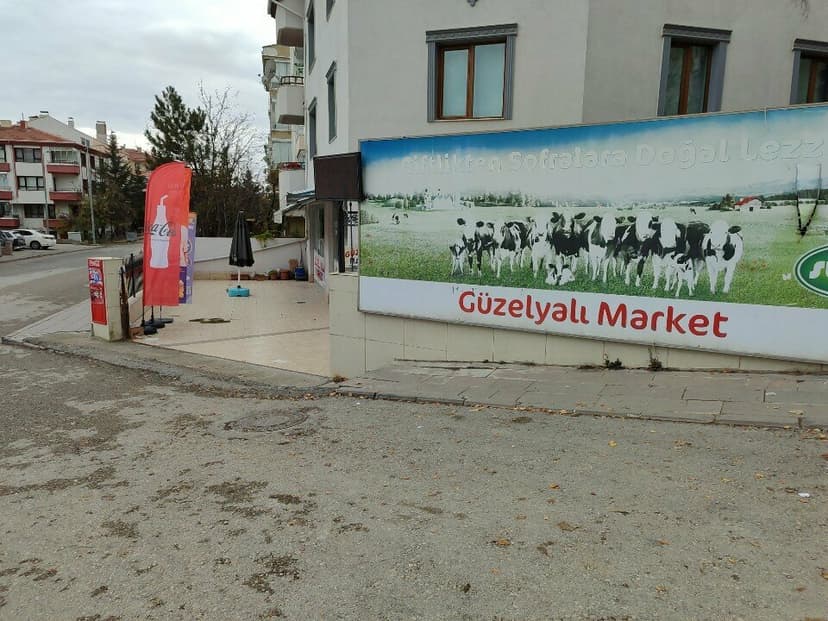 Web (geçici)