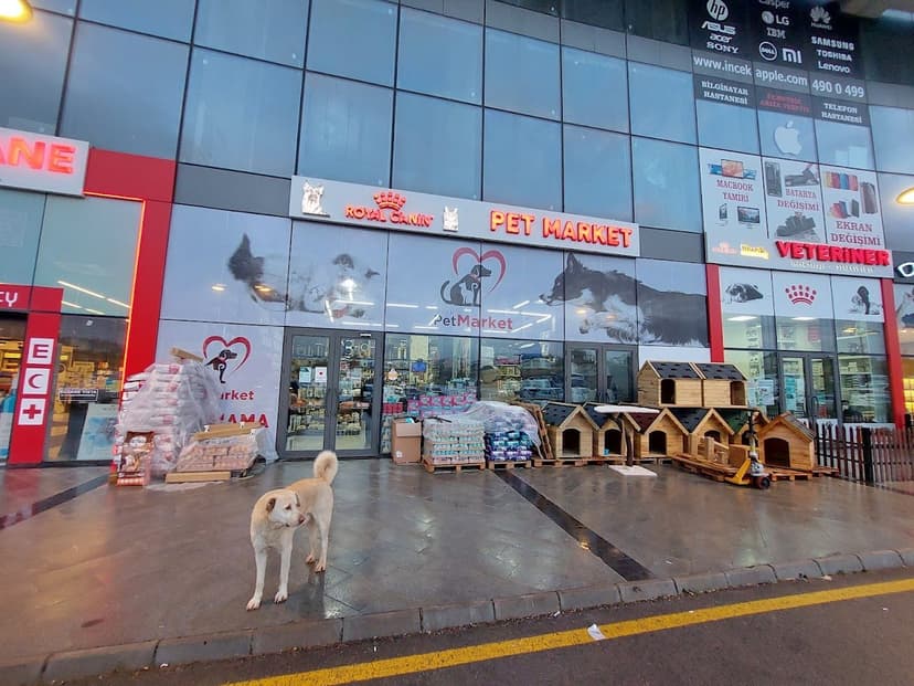 İncek Pet dış cephe ve pet market alanı