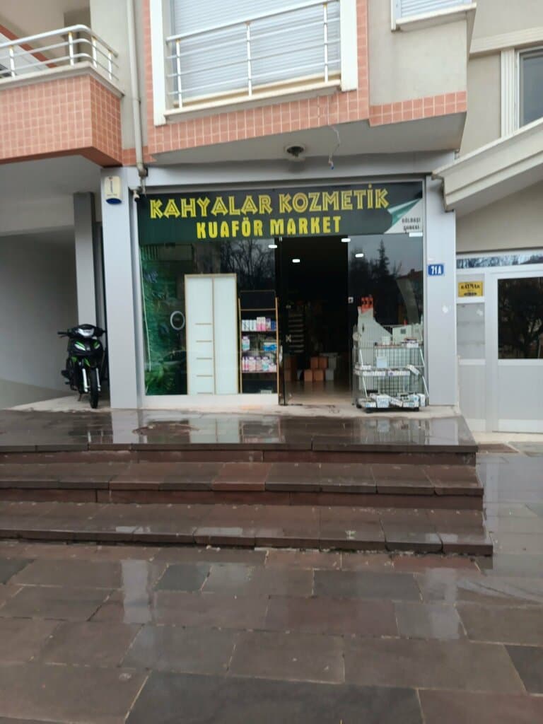 Web (geçici)