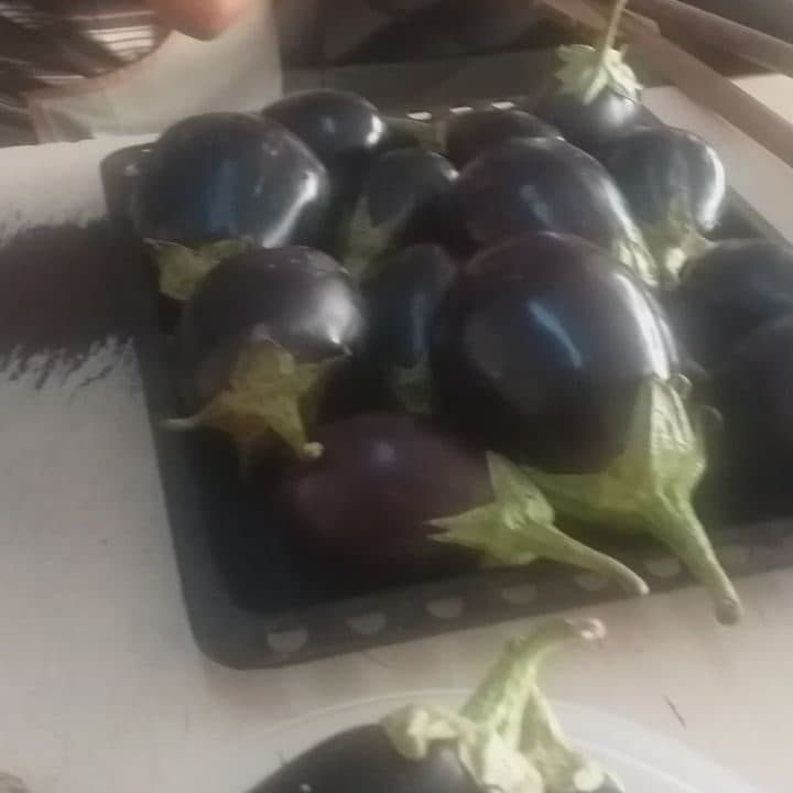 Hazırlık aşamasındaki taze patlıcanlar (Instagram)