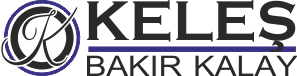 Web (geçici)
