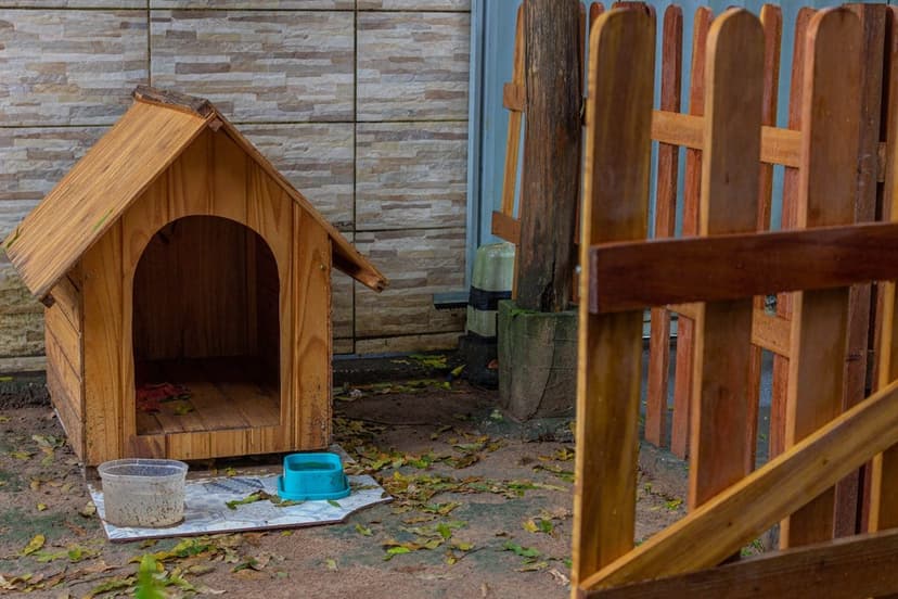 Ahşap köpek kulübesi detayı (temsili görsel)