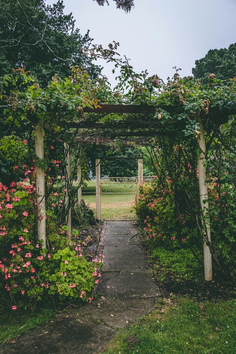 Ahşap çardak / pergola (temsili görsel)