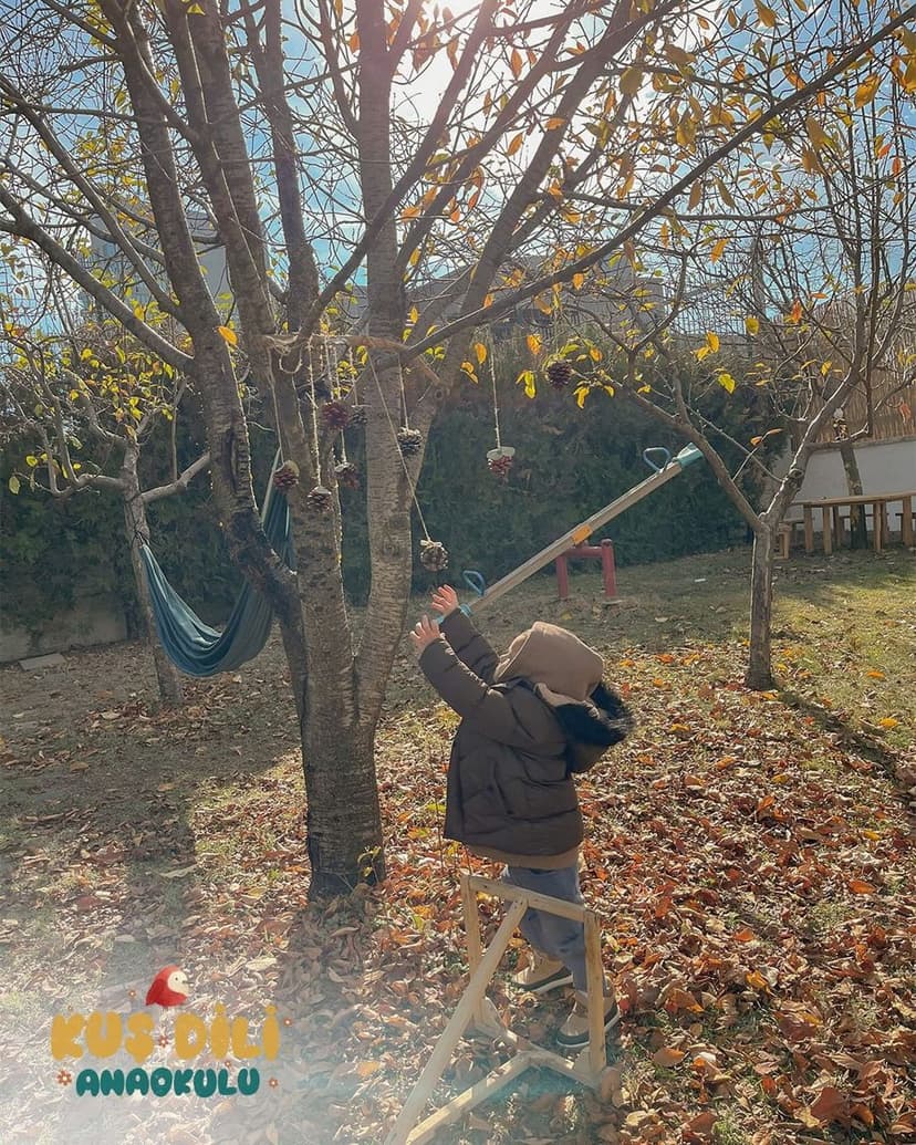 Bahçede doğa keşfi ve ağaç süsleme etkinliği