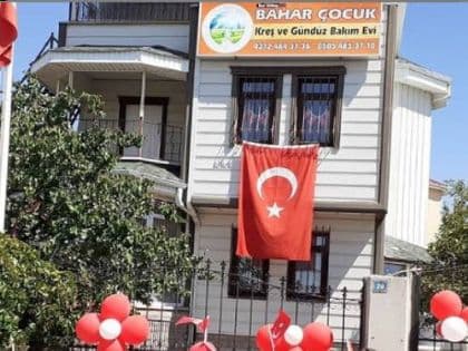 Web (geçici)