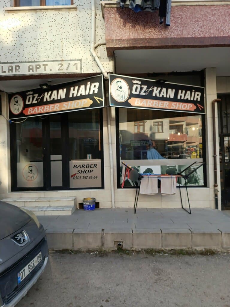 Web (geçici)
