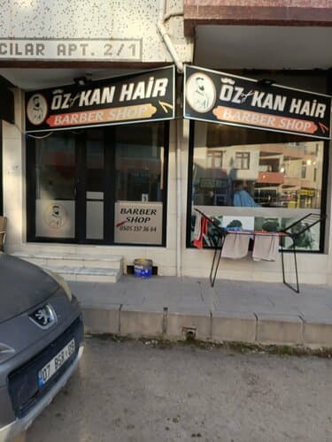 Web (geçici)