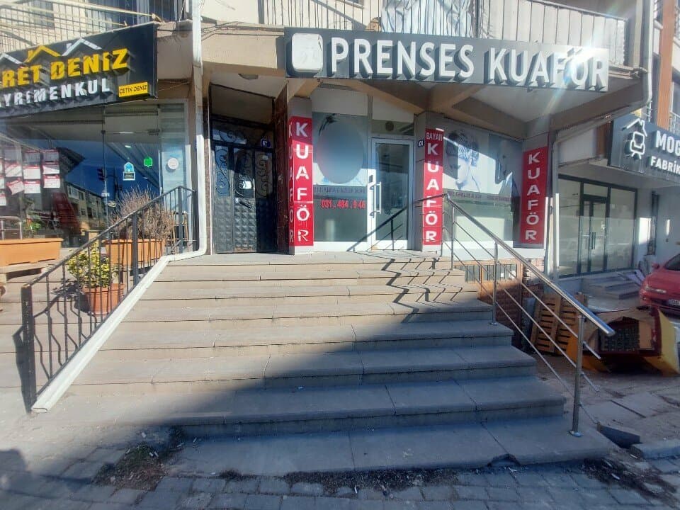 Web (geçici)