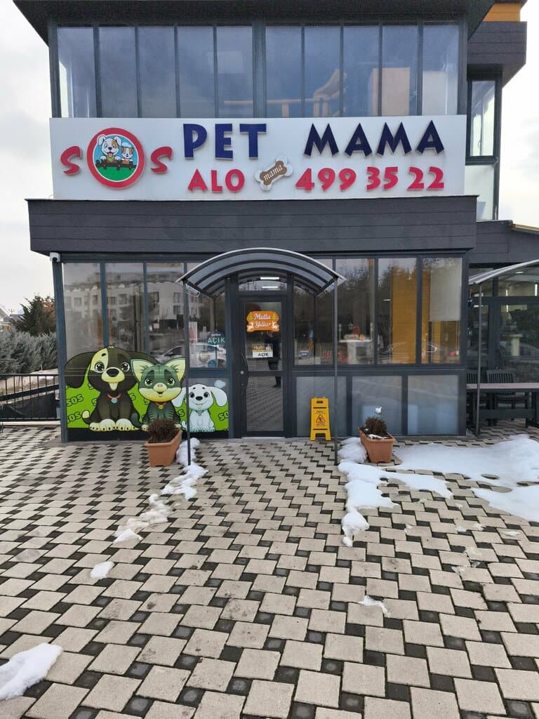 Web (geçici)