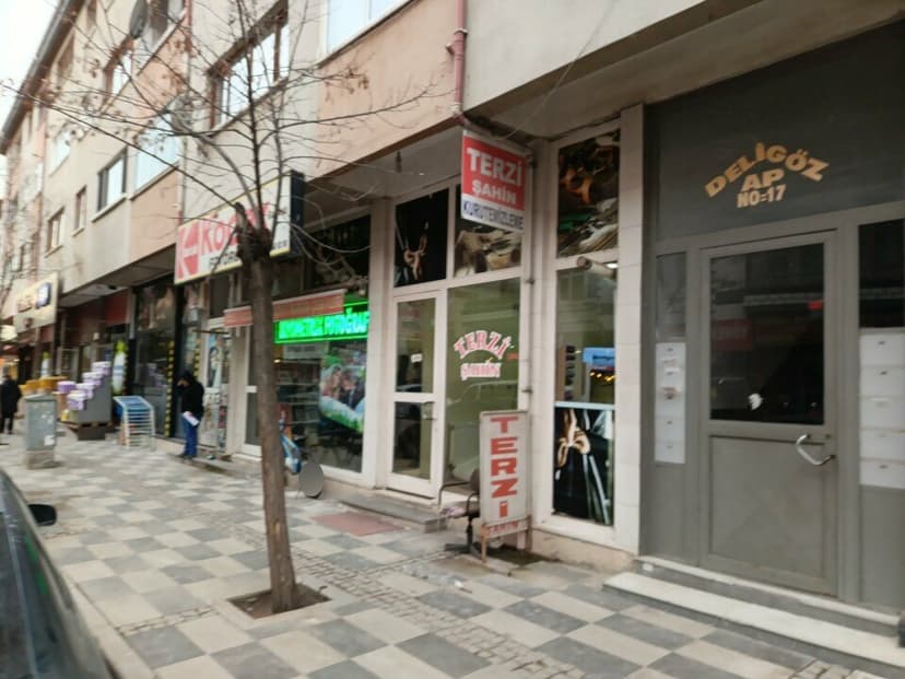 Web (geçici)