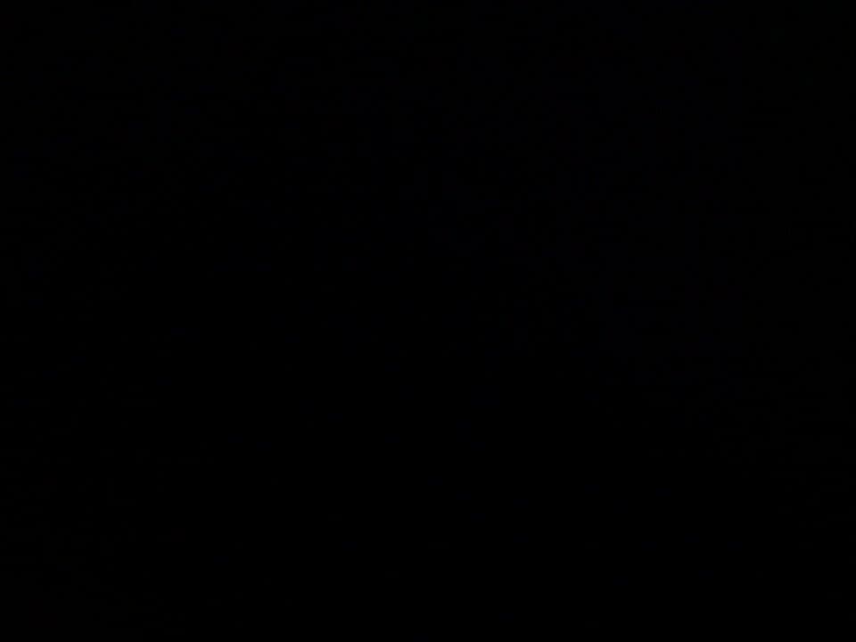 Web (geçici)