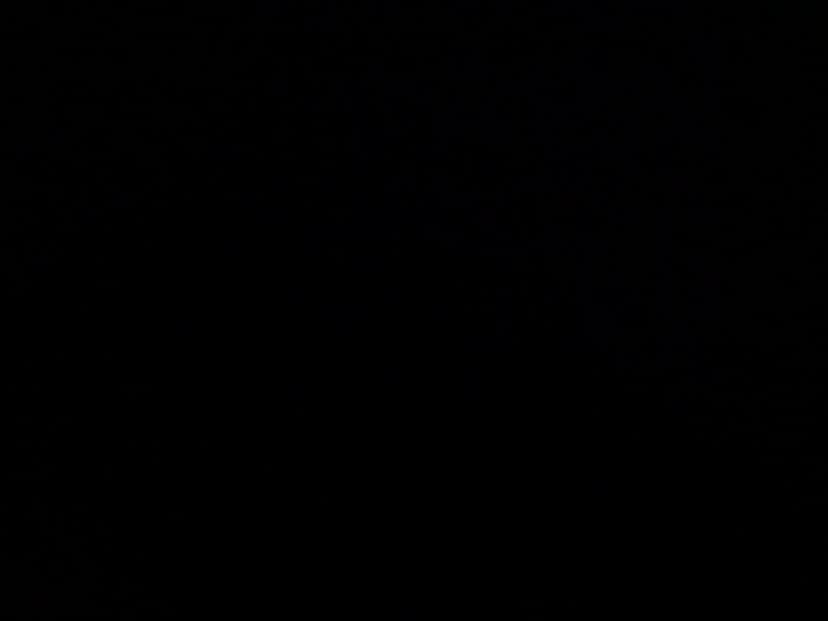 Web (geçici)