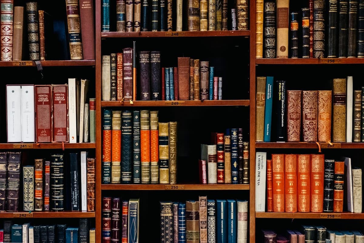 Kitap raflarıyla dolu kitabevi ortamı (temsili görsel)