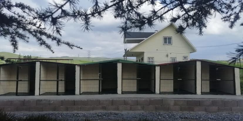 SKY K9 eğitim merkezi ve köpek oteli tesisi