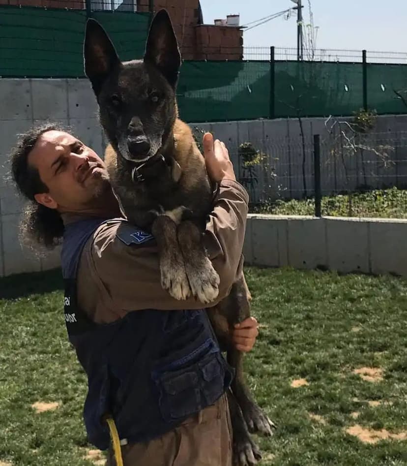 Uzman eğitmen ve görev köpeği (Malinois)