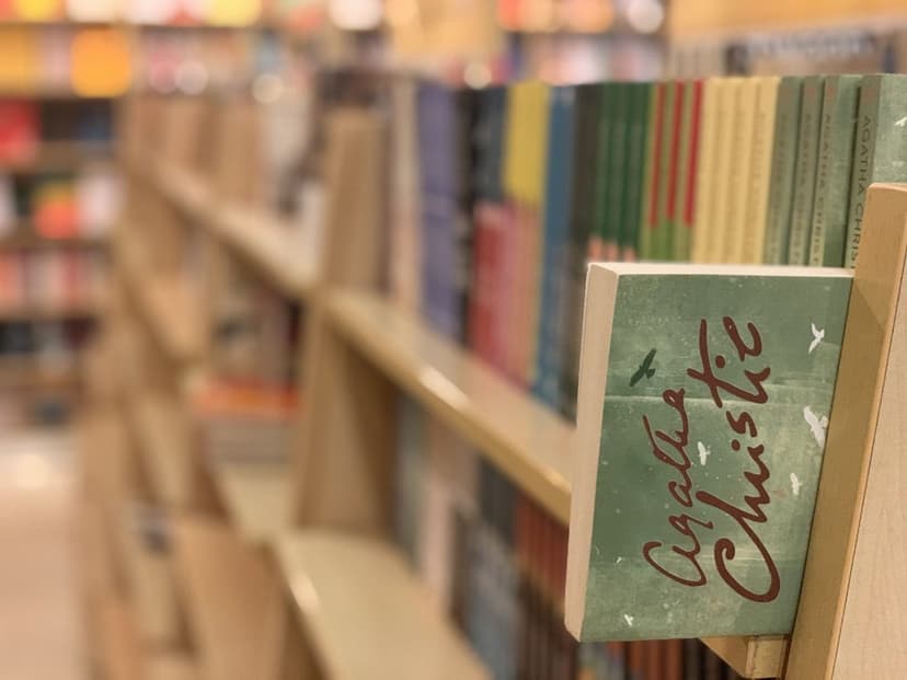 Kitap rafları (temsili görsel)