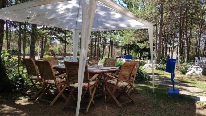 Çam ağaçları arasında kameriye altında bahçe oturma alanı — WTC Garden Park