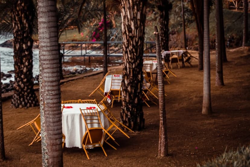 Çam ağaçları altında bahçe restoran düzeni (temsili görsel)