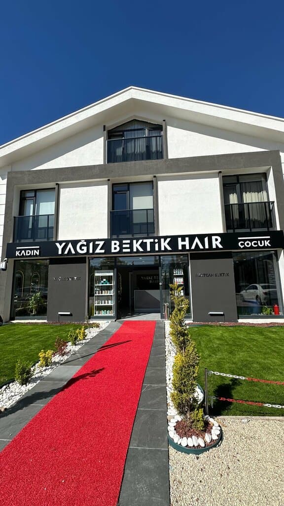 Web (geçici)