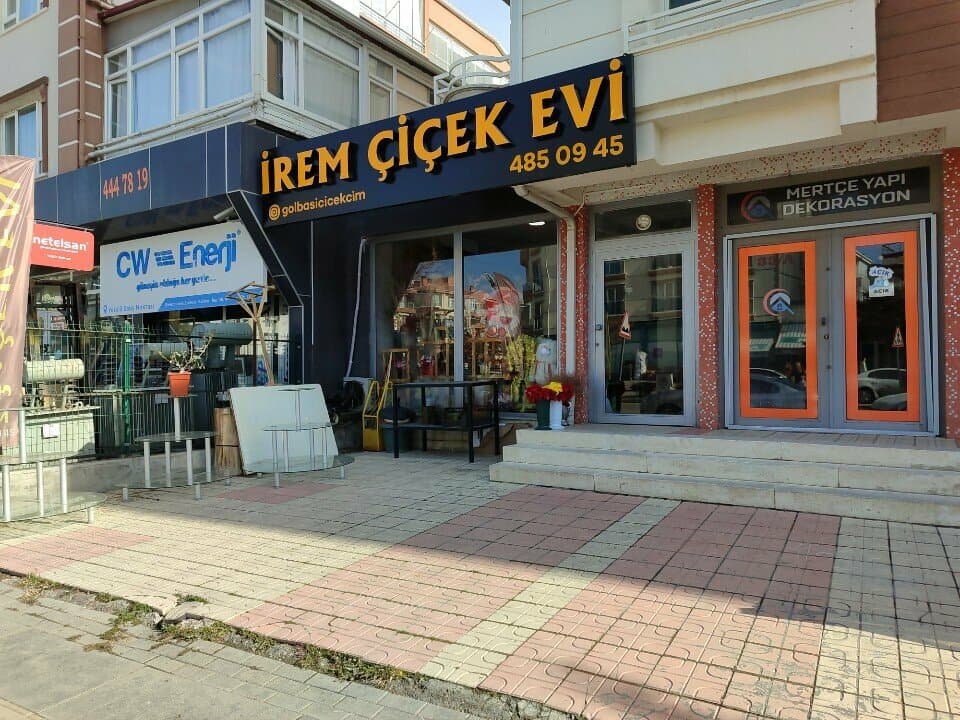 Web (geçici)