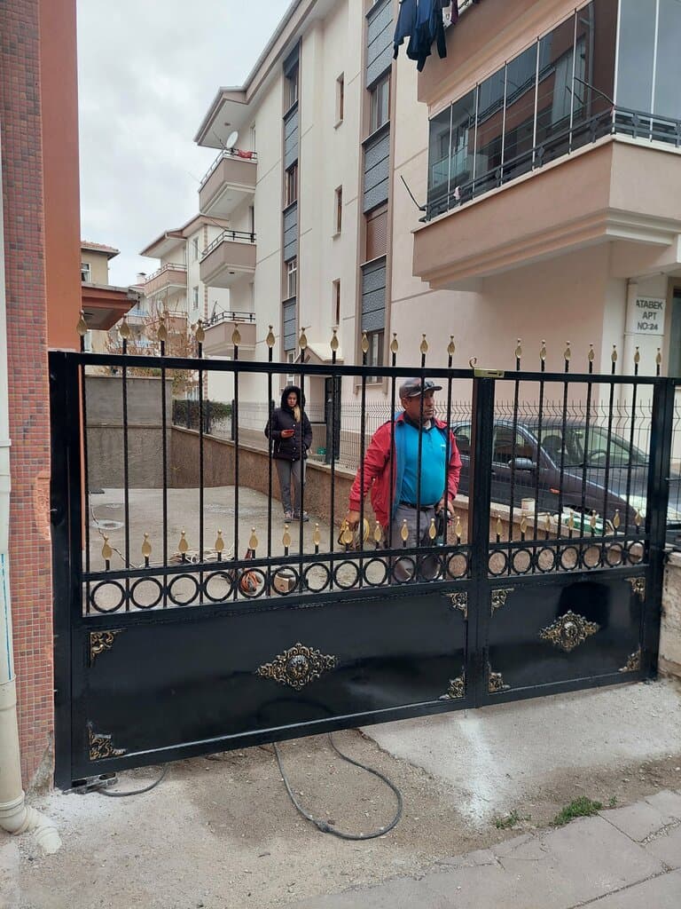 Web (geçici)