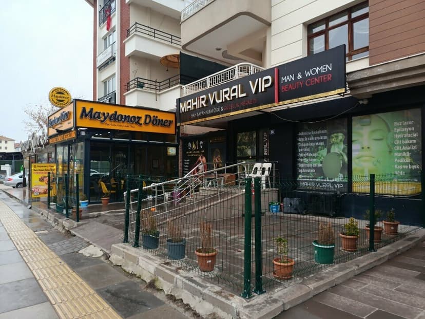 Web (geçici)