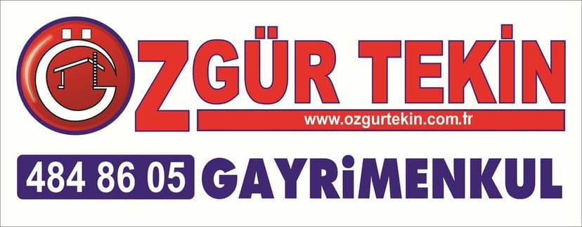 Web (geçici)