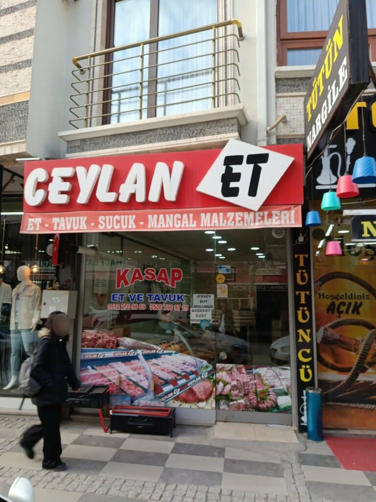 Web (geçici)