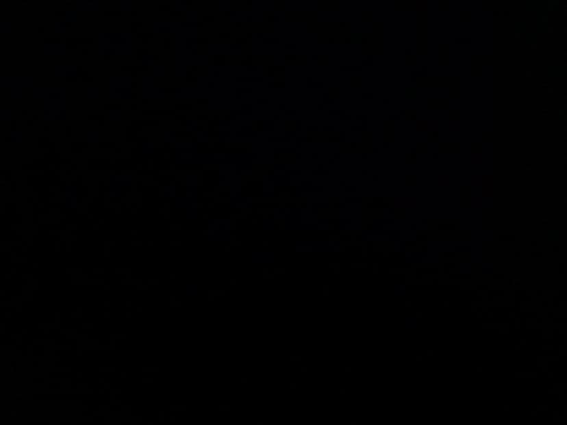 Web (geçici)