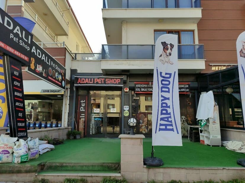 Web (geçici)