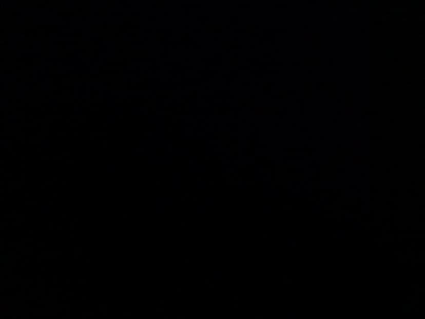 Web (geçici)