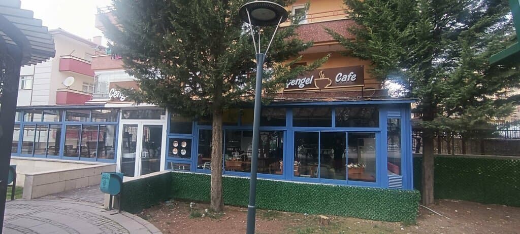 Web (geçici)